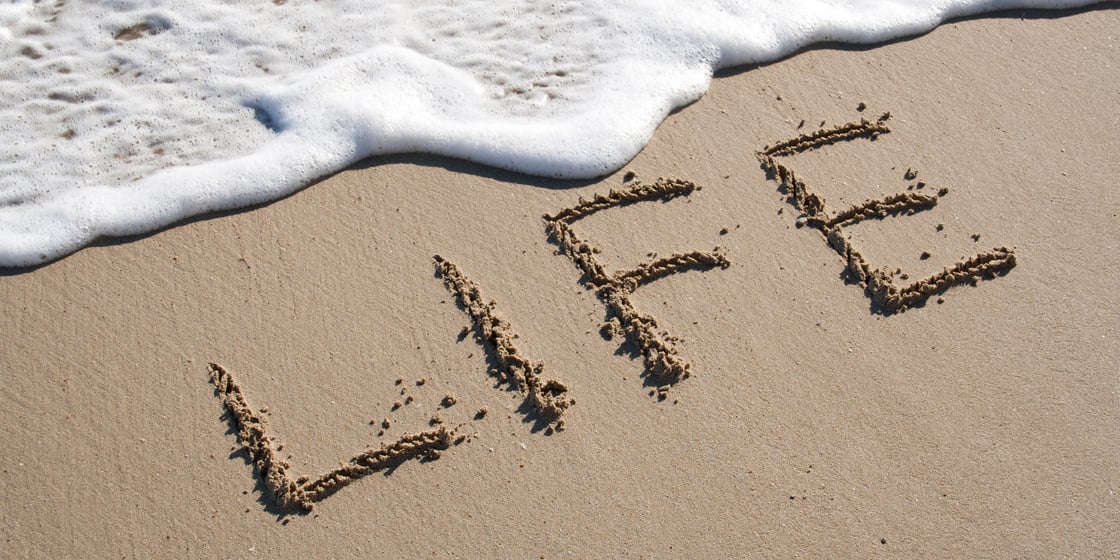 cometic ION year in review 2025 (17)